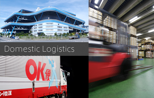 Domestic Logistics