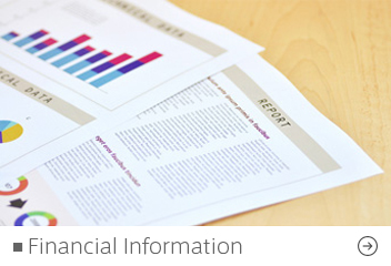 Financial Information